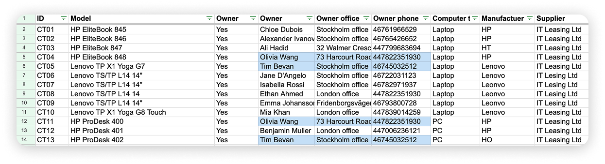 Asset management spreadsheet example - duplicated data