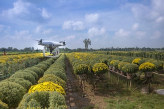 A leased drone inspects a farm field